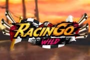 Racingo Wild FBM Easy Money Link